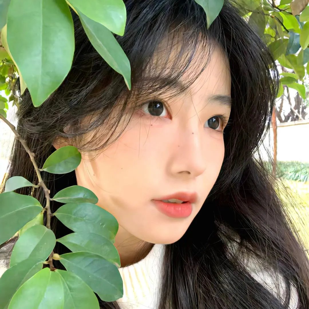 火神之天启之子